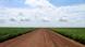 Plantação de soja no Mato Grosso Plantação de soja no Mato Grosso