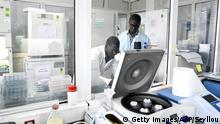 Scientific staff members works in a secure laboratory, researching the coronavirus, at the Pasteur Institute in Dakar on February 3, 2020. - The Pasteur Institute in Dakar, designated by the African Union as one of the two reference centres in Africa for the detection of the new coronavirus that appeared in China, is hosting experts from 15 countries on the continent this weekend to prepare them to deal with the disease. (Photo by Seyllou / AFP) (Photo by SEYLLOU/AFP via Getty Images)
