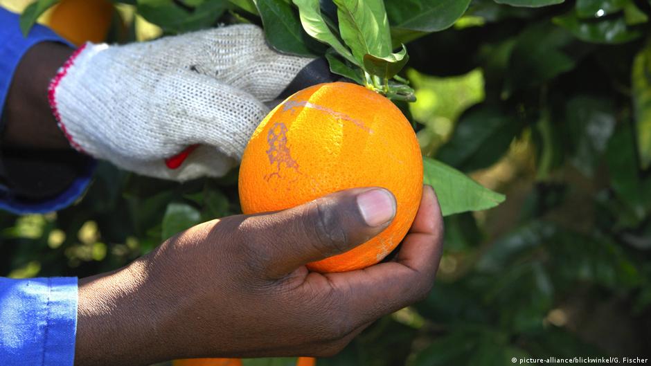 African Union urges farmers to boost food production | Africa | DW - Vimarsana News