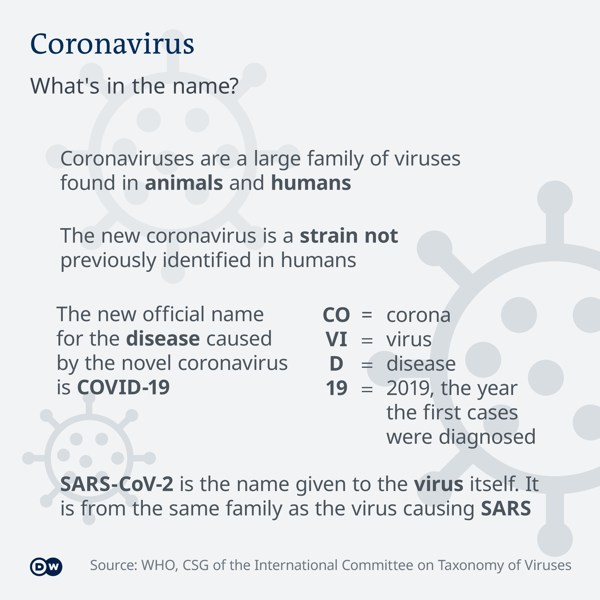 Infographic showing information on the classification of the coronavirus