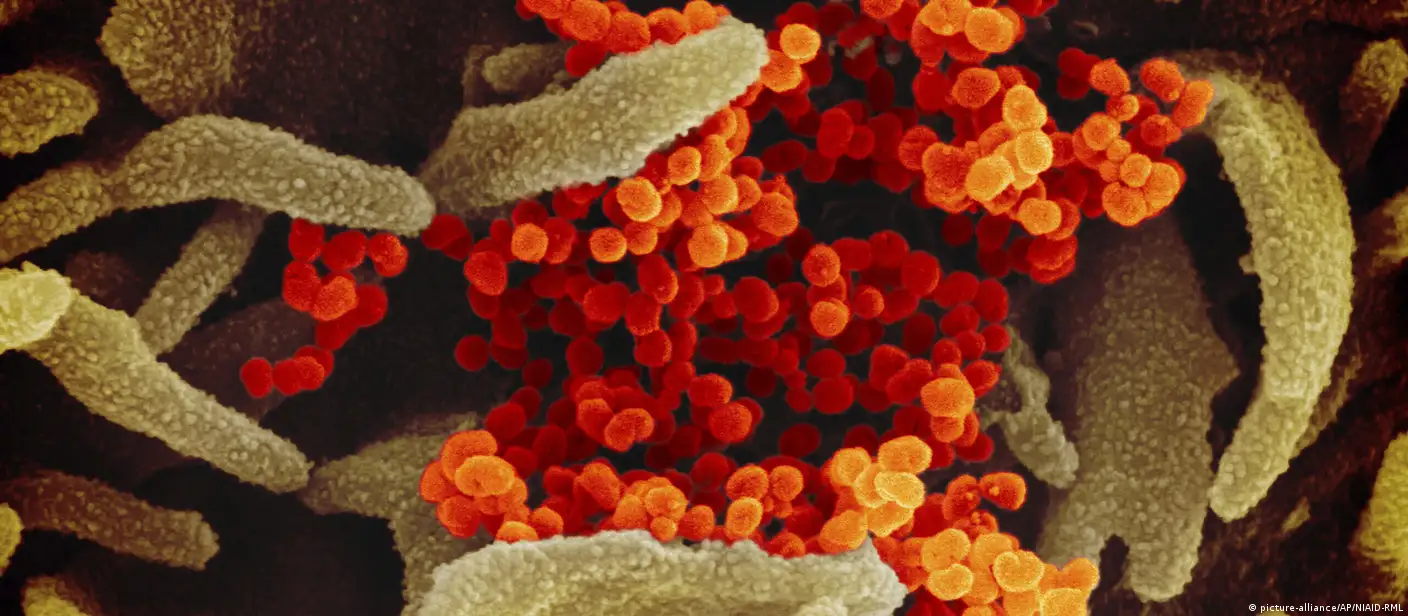 Após seis meses, o que se sabe sobre a covid-19? – DW – 06/07/2020, image size:1408x616