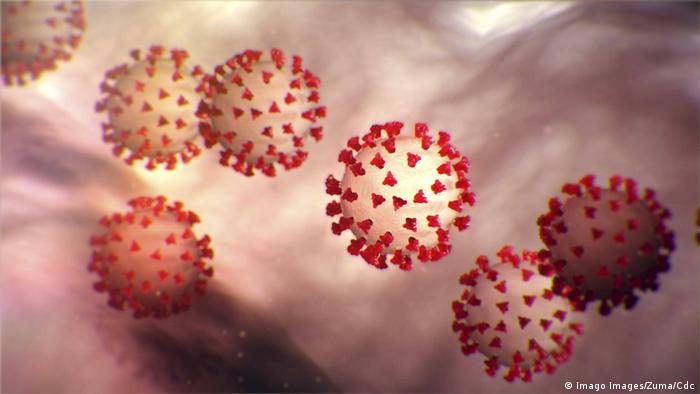 Коронавирус SARS-CoV-2 под микроскопом