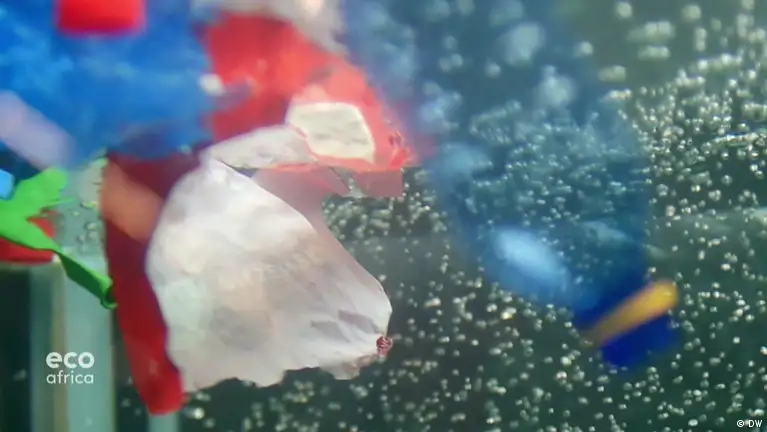 Algas marinhas podem dar nova vida ao plástico biodegradável • InovaSocial