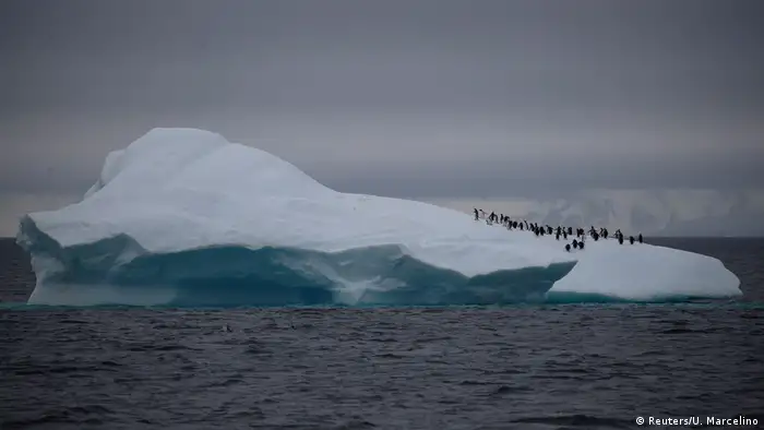 Penguins on a large block of ice