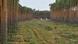 A partially cleared segment of the forest in Grünheide, Brandenburg, the future site of the Tesla factory in Germany. A partially cleared segment of the forest in Grünheide, Brandenburg, the future site of the Tesla factory in Germany.