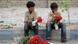 Iran Kinderarbeit Iran Kinderarbeit