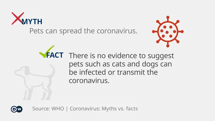 Infographic myth vs. fact coronavirus 