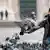 Italien Mailand Man mit Schutzmaske füttert Tauben