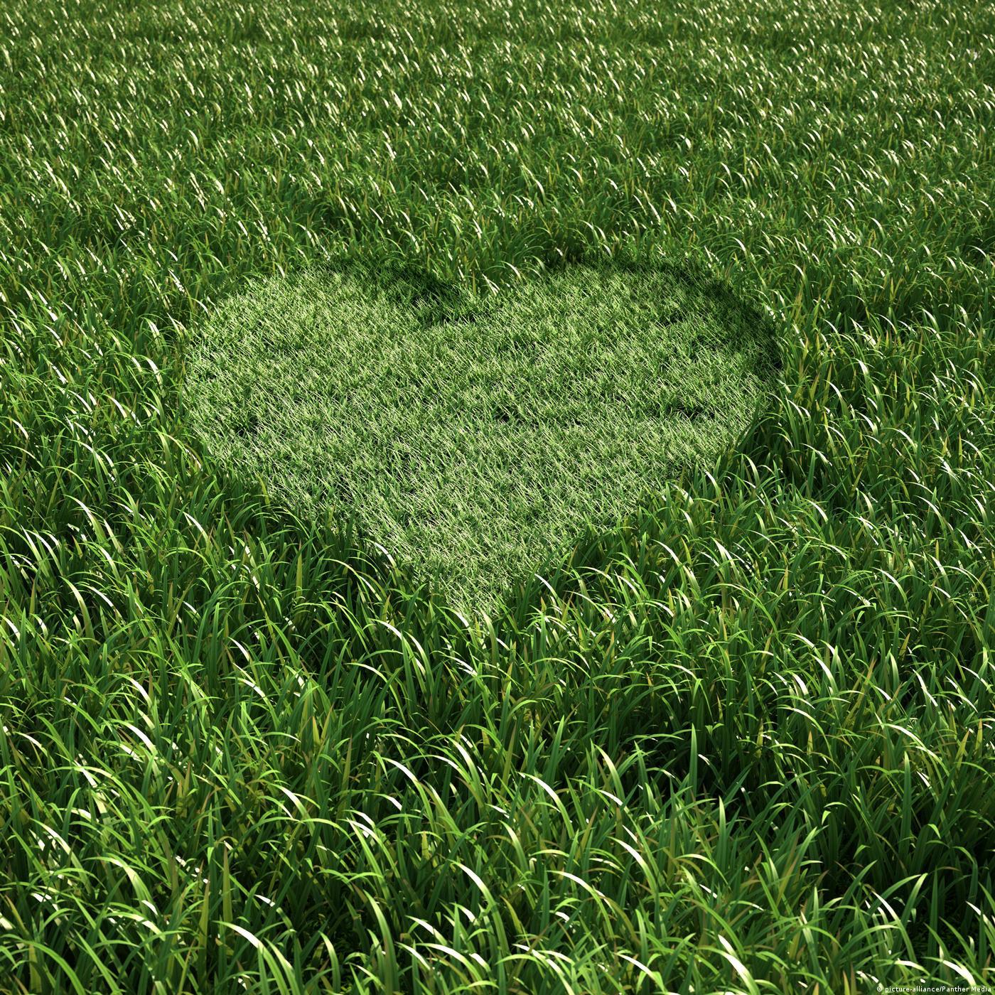 Living Planet: Greening spaces