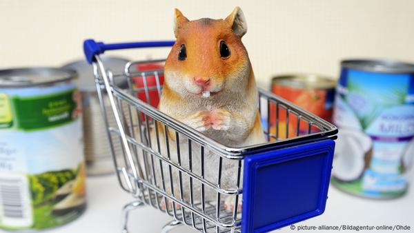 Online shop hamster store