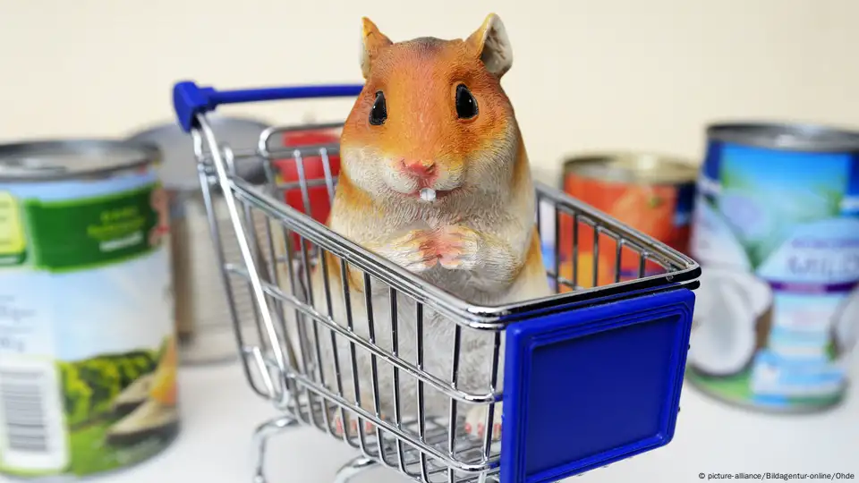 Hamster online store best sale