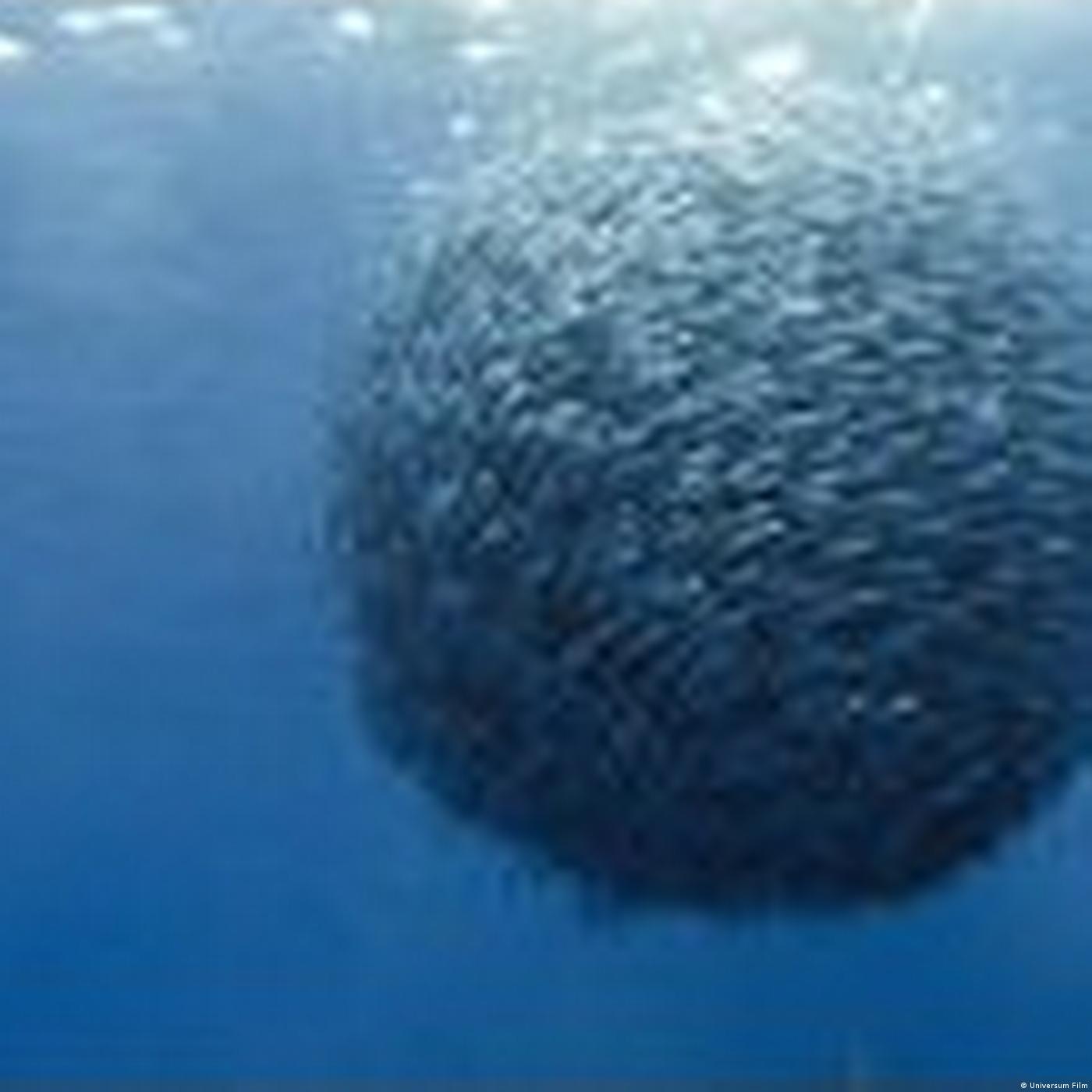Living Planet: Sounds of the sea