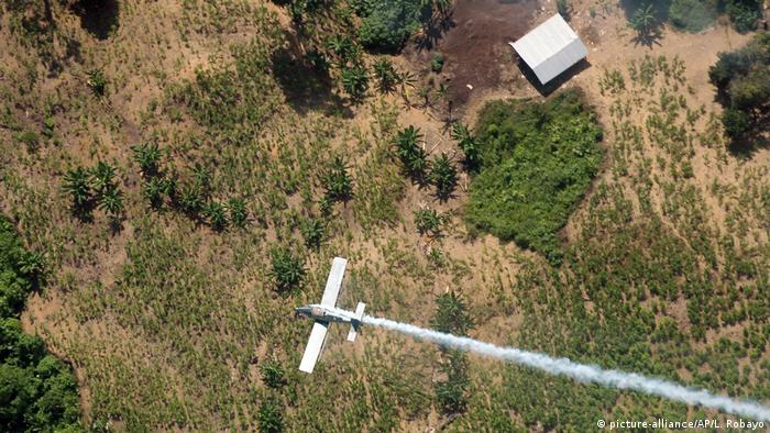 Flugzeug das in Kolumbien Gylphosat auf Koka-Felder sprüht