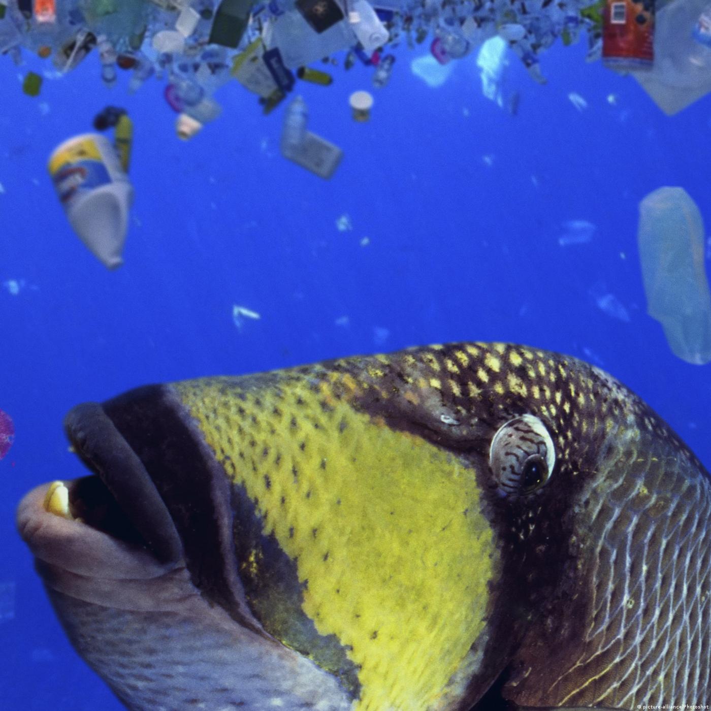 Living Planet: Not so fantastic