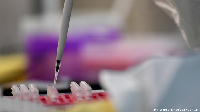 Ученые во многих странах готовят вакцину против коронавируса