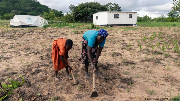 Simbabwe Buhera | 1 Jahr nach Zyklon Idai | Gladys Chiremba, Feldarbeit