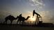 A man rides a camel through a desert oil field A man rides a camel through a desert oil field