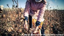 ACHTUNG: Nur zur abgesprochenen Berichterstattung! *** 1. Forced labour in cotton industry Uzbekistan, credit Simon Buxton - Anti-Slavery International