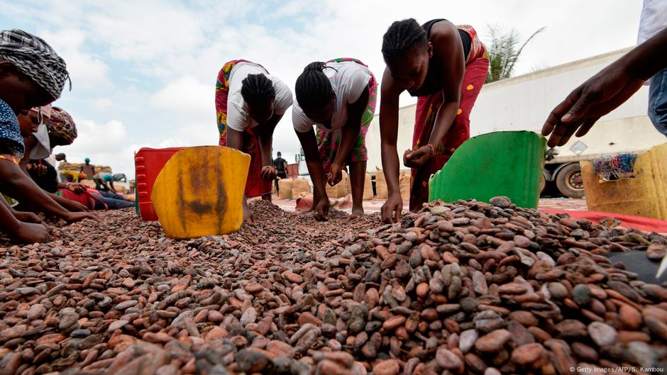 Ivory Coast combats child labor for chocolate – DW – 06/13/2024
