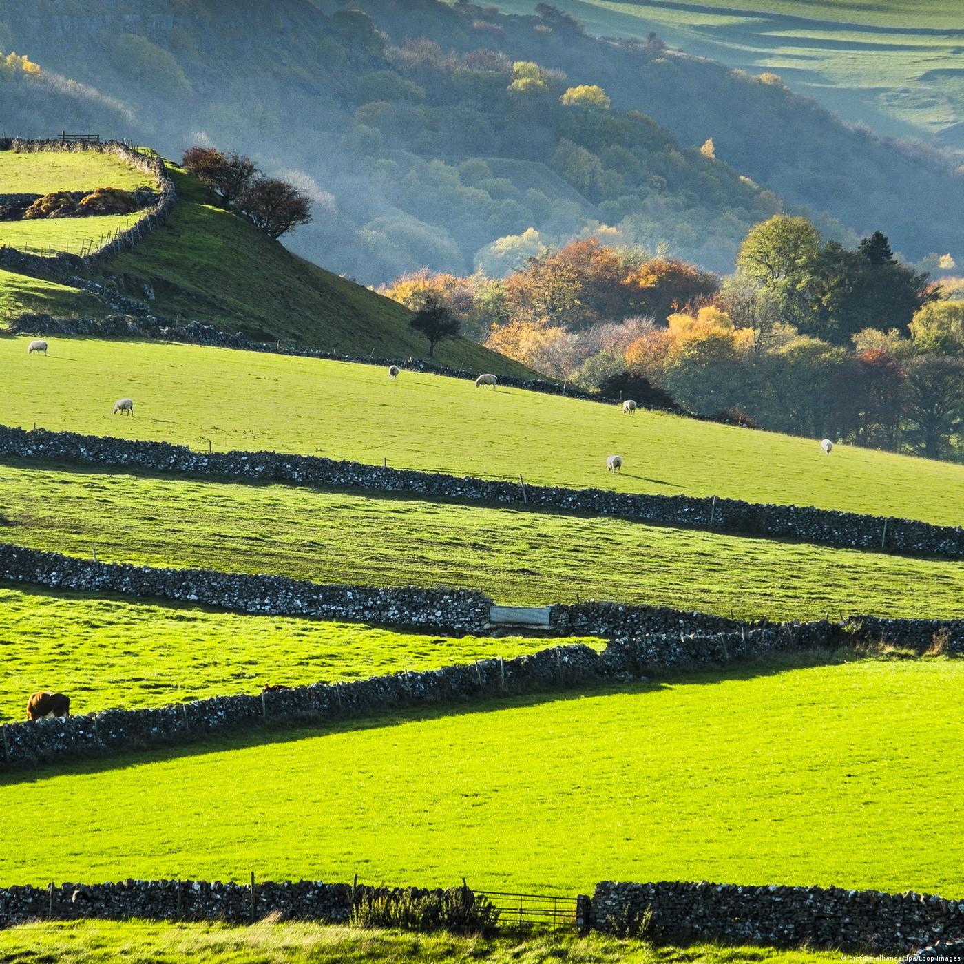Living Planet: Greener pastures post-Brexit, invisible waste & the abuse environmentalists face online