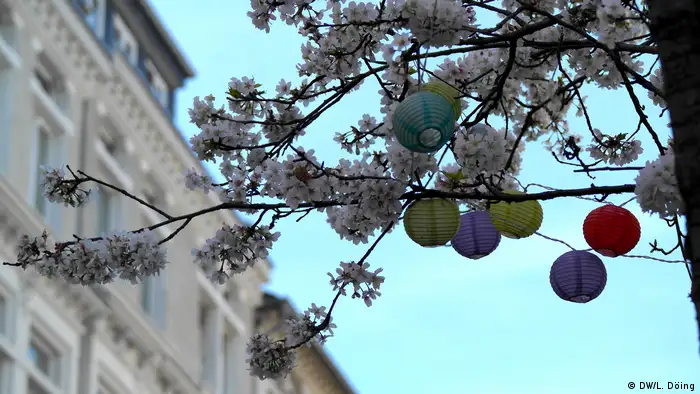 Warten auf die große Kirschblüte in Bonn im März 2020 (DW/L. Döing)