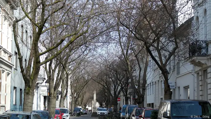 Noch blühen die Kirschbäume in der Bonner Heerstraße nicht (DW/L. Döing)