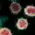 صورة مجهرية لفيروس كورونا المستجد أو الفيروس التاجي فبراير/ شباط 2020