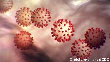 February 3, 2020, Atlanta, GA, United States of America: Illustration created at the Centers for Disease Control and Prevention showing the ultrastructural morphology exhibited by the Novel Coronavirus 2019-nCoV virus which has caused an outbreak of respiratory illness first detected in Wuhan, China in 2019. Note the spikes that adorn the outer surface of the virus, which impart the look of a corona surrounding the virion, when viewed electron microscope. (Credit Image: Â© Cdc/Planet Pix via ZUMA Wire |