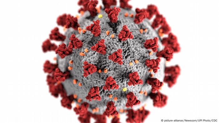 Proteína spike (S) na superfície do coronavírus Sars-Cov-2 é uma de suas principais características