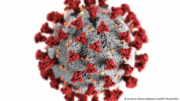 Mikroskopische Darstellung der Coronavirus-Krankheit 2019 (picture-alliance/Newscom/UPI Photo/CDC)