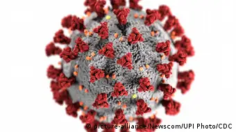 Mikroskopische Darstellung der Coronavirus-Krankheit 2019