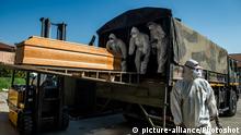 Civil protection and army load the coffins of the deceased of Covid-19, Coronavirus, from a municipal warehouse to alleviate the emergency due to the large number of deaths in the Bergamo area ,Ponte San Pietro, ITALY-24-03-2020 |