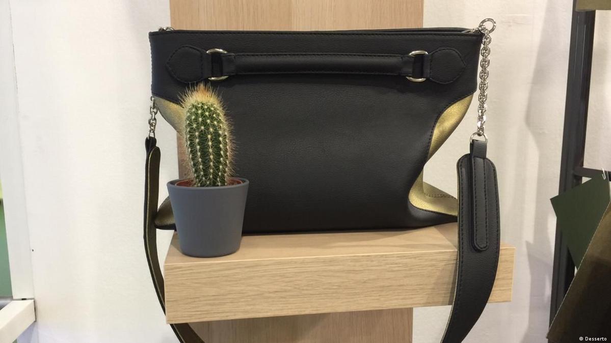 wie lange lebt ein kaktus Tipps zur Pflege deiner Pflanze : Cactus – PflanzenFuerAlle main image 0