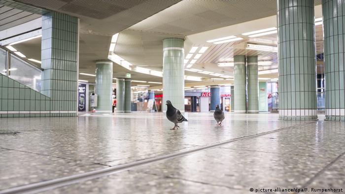 Pigeons in deserted Frankfurt underground