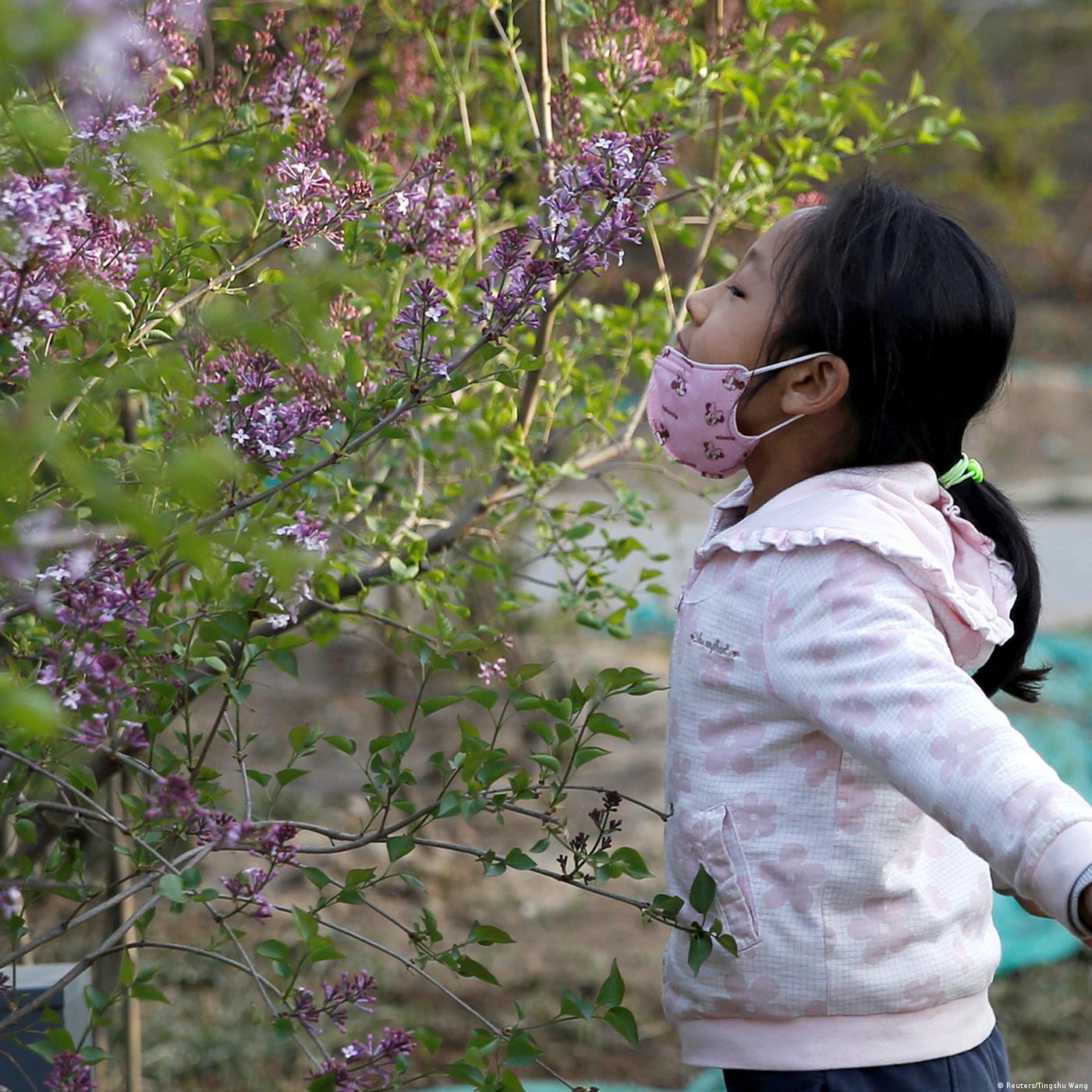 Living Planet: Coronavirus & the environment — necessary changes
