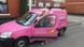 British plumber Philippa Cunningham and her bright pink van British plumber Philippa Cunningham and her bright pink van