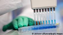 ألمانيا تجري اختبارا على عقار لعلاج مرضى كورونا