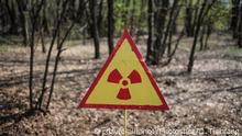 (160424) -- CHERNOBYL, April 24, 2016 () -- Photo taken on April 19, 2016 shows a warning sign in the forest near Chernobyl, Ukraine. Chernobyl, a place replete with horrific memories in northern Ukraine, close to Belarus, is now open to tourists, almost 30 years to the date after a nuclear power plant there exploded. It was the worst nuclear accident in human history. A large tract of land around the plant was designated a forbidden zone and ordinary people were completely prohibited from entering after the disaster occurred on April 26, 1986. The accident released more than 8 tons of radioactive leaks, directly contaminated an area of over 60,000 square kilometers and exposed some 3.2 million people to dangerous levels of radiation. (/Dai Tianfang)(zhf) |