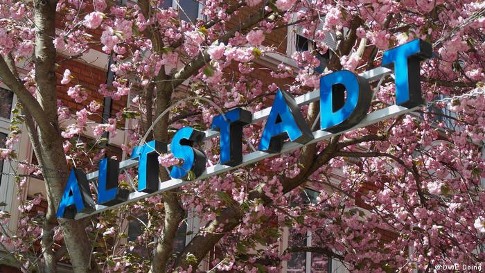 A sign saying „Altstadt“ (Old City) lined with cherry blossoms. Fotografiert am 6. April (Foto: DW/L. Döing)