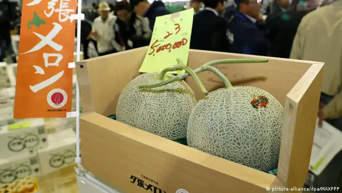 Melonen-Auktion in Japan (picture-alliance/dpa/MAXPPP)