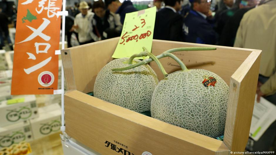 Japan′s fascination with perfect — and expensive — fruits | Asia| An in-depth look at news from across the continent | DW - Vimarsana News