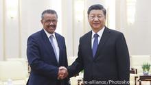 习近平电话里施压谭德塞？世卫：两人从未通电话