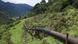 Ecuador Erdöl-Pipeline ARCHIV Ecuador Erdöl-Pipeline ARCHIV