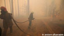 Пожежі в Чорнобильській зоні: рятувальники намагаються локалізувати два осередки