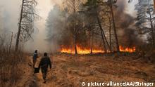 На Житомирщині триває гасіння пожеж, що забруднили повітря в Києві