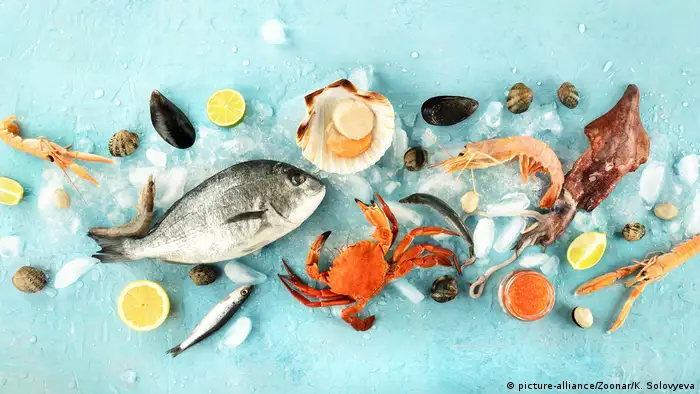 Fisch und Meeresfrüchte (picture-alliance/Zoonar/K. Solovyeva)