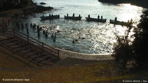 The cove in the fishing village of Taiji in southern Japan where there is an annual dolphin hunt