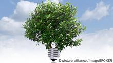 Baum wächst aus Fassung einer Glühbirne vor blauem Himmel, Symbolbild für grüne Energie | Verwendung weltweit, Keine Weitergabe an Wiederverkäufer.