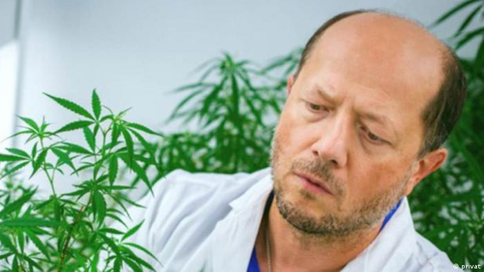El experto en cannabis medicinal, Igor Kovalchuck.