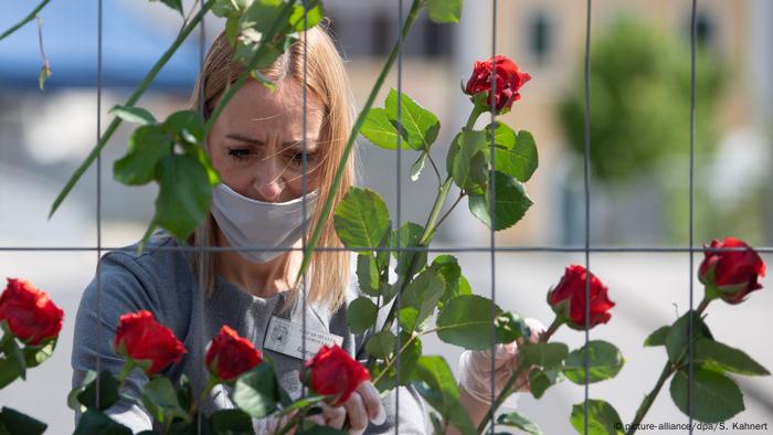 Roses in memory of the victory in World War II 